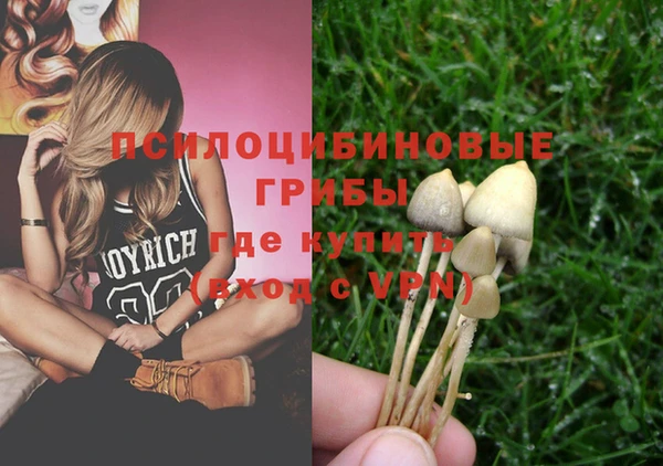 дмт Вязьма