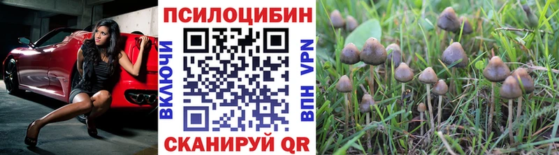 что такое   Звенигород  Галлюциногенные грибы Magic Shrooms 